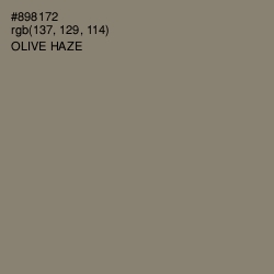 #898172 - Olive Haze Color Image